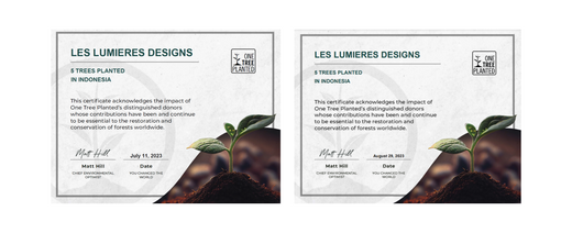 Let's plant a tree together!