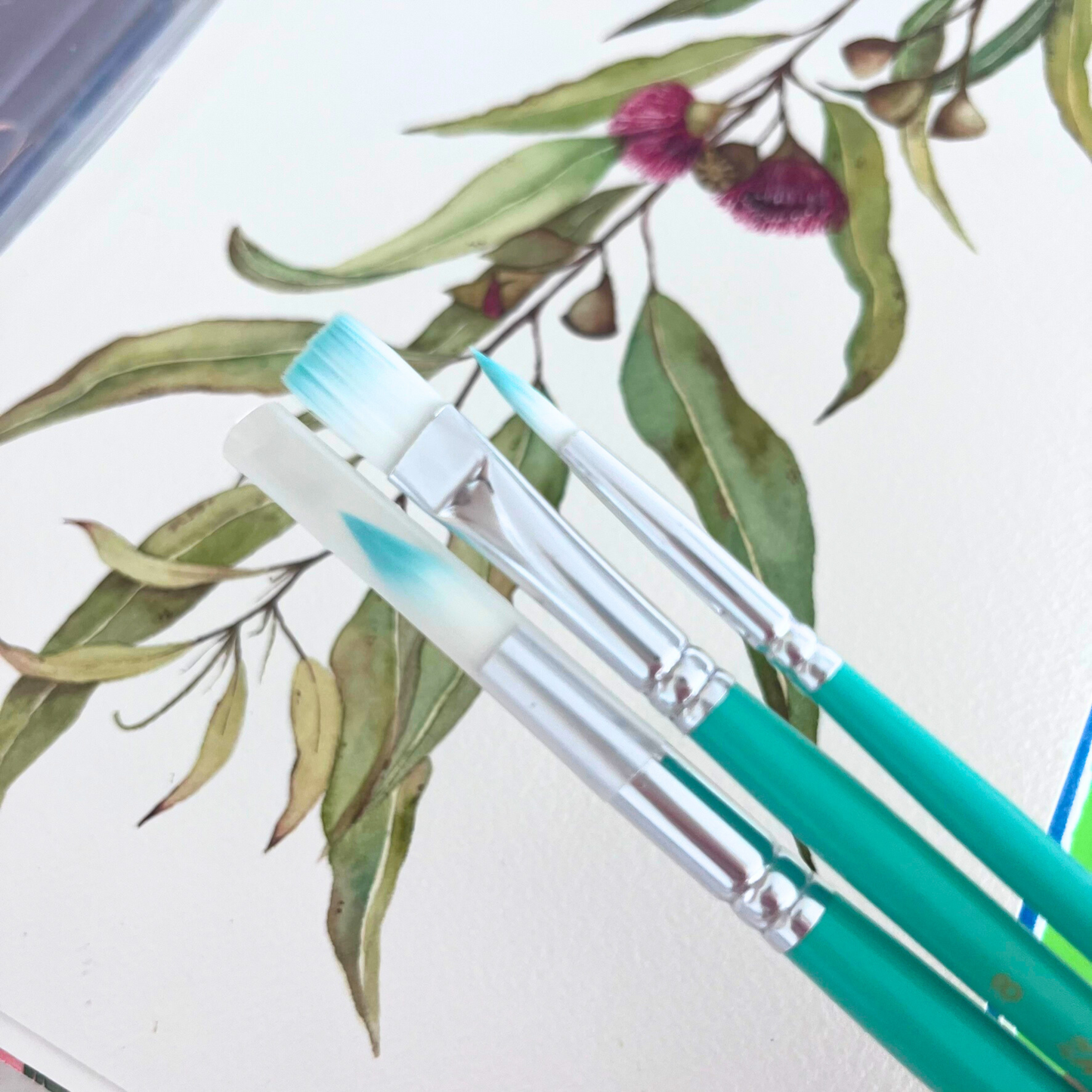 Best watercolor brushes- synthetic fibers, cruelty-free