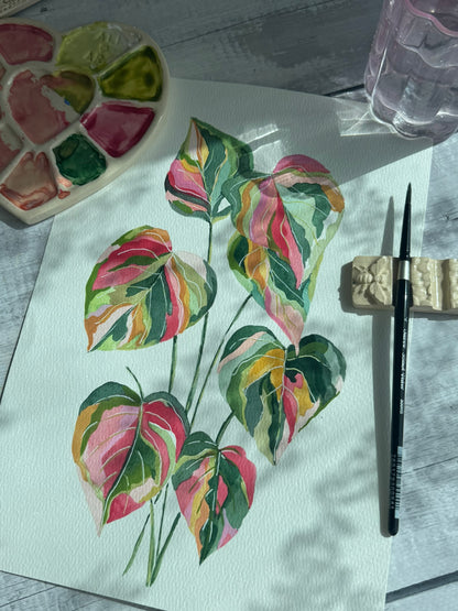 Taller de Acuarelas en Abu Dhabi- Jueves 2:30pm Al Raha-13 de Noviembre